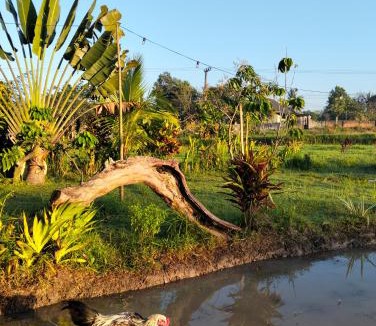 Kecamatan Kopang House | waroeng bangket