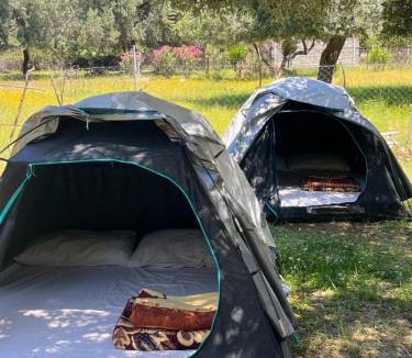 Borsh Other | Waveside Camping