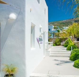 Parikia Hotel | White Blossom