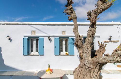 Tinos House | Xenia Xinara