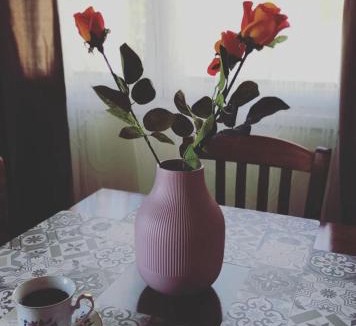 Ierakas House | Zarakas home