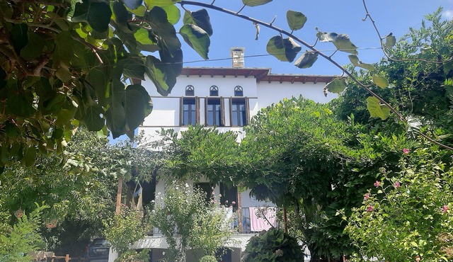 ΠΗΛΙΟΡΕΙΤΙΚΟ ΝΕΟΑΡΧΟΝΤΙΚΟ ΣΤΙΣ ΜΗΛΙΕΣ