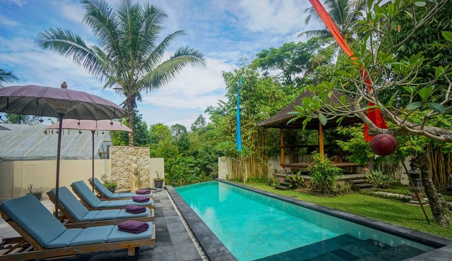 3+ Bedroom Villa with Pool and fresh breakfast
