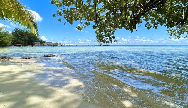 3BR 3BA private beach Villa w/kayaks +1-acre-tropical garden