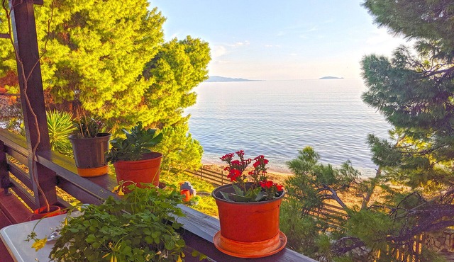 A first floor beachfront apartment at Metamorfosi Sithonia for 5 guests