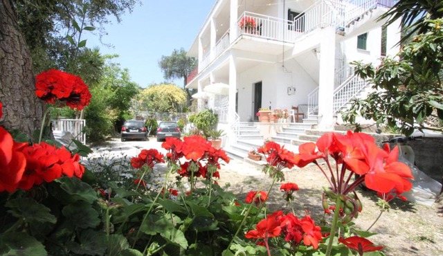 Angeliki Studio & Apartment
