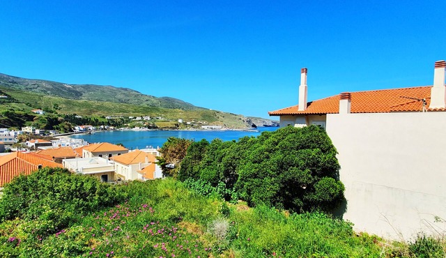 Apartment Andros - Lasia