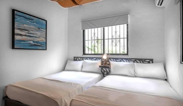 Apartment in Gazcue Sleeps 6