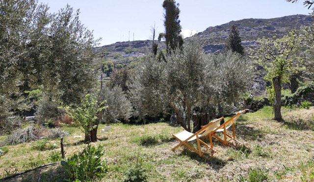 Apoikia Cottage for friends,lovers and nature lovers
