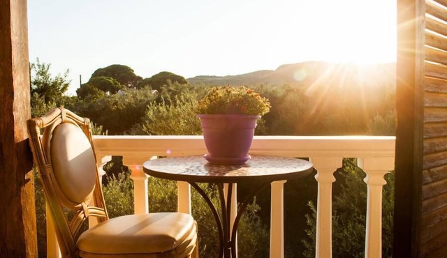 Areti Orfeas Studios in Zakynthos