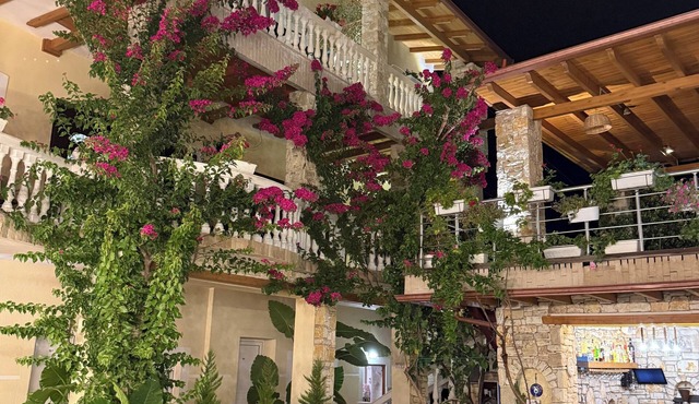Arial Penthouse Suites