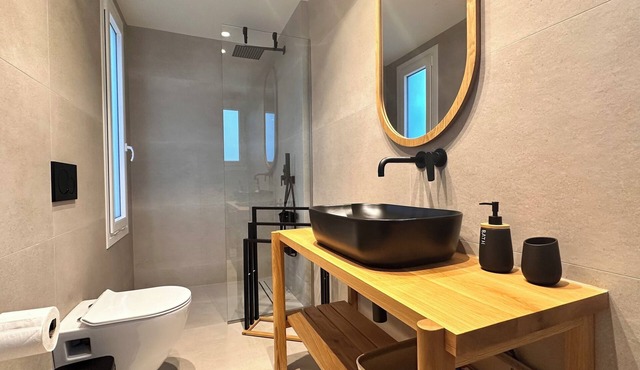 Aristotle Suites, Avgi