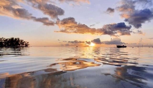 Auti studio, direct access to the beach on Moorea, with A/C -WiFi - Netflix
