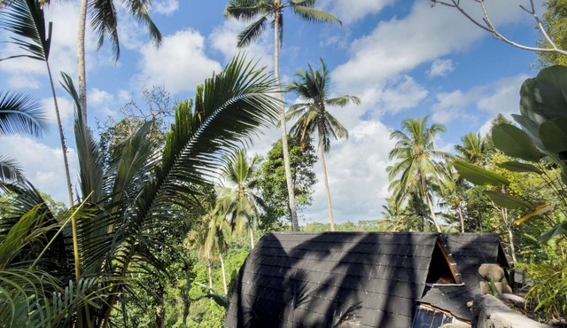 Ayung Melasti