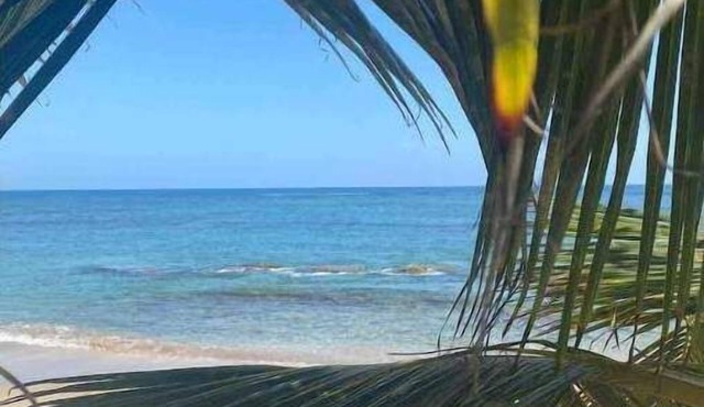 Beach hotel , one mile of beach front hotel, bar , beach club/restaurant