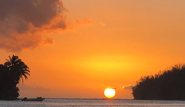 Beach Lifestyle Bungalow - Steps from the beach, your Dream Escape Starts Here!