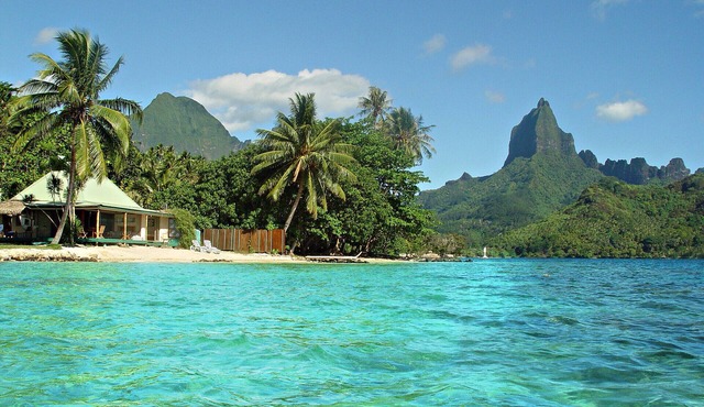 Beach Villa Cook - Robinson's Cove