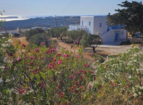 Blue and White View