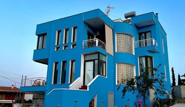 BLUE HOUSE