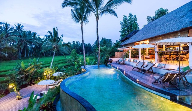Calma Ubud Suite & Villas - Rice Fields View, Infinity Pool !
