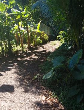 Camping Nature Bora