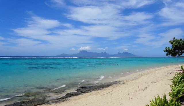 Carlton Plage PK18 White Sand Beach Pool 2BR/2BA fiber Wi-Fi A/C