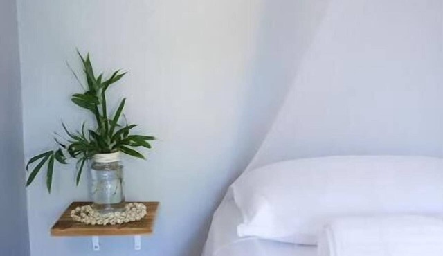 Central 270m² 15p + Wifi Parking