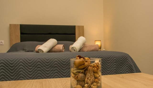 Central Luxury Studio 2