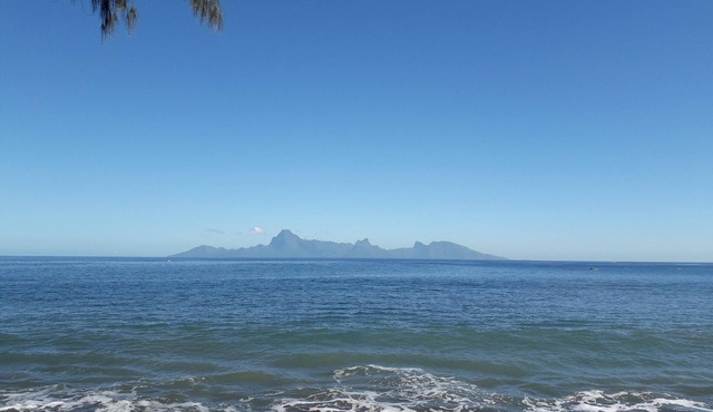 Charming Apartment Near the Museum of Tahiti & Island Beaches
