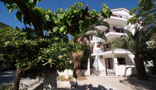 comfortable, bright apartment near the sea