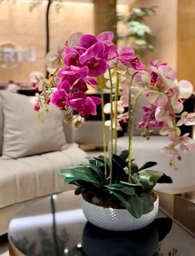 Cozy Studio Unit @Ciputra World Surabaya