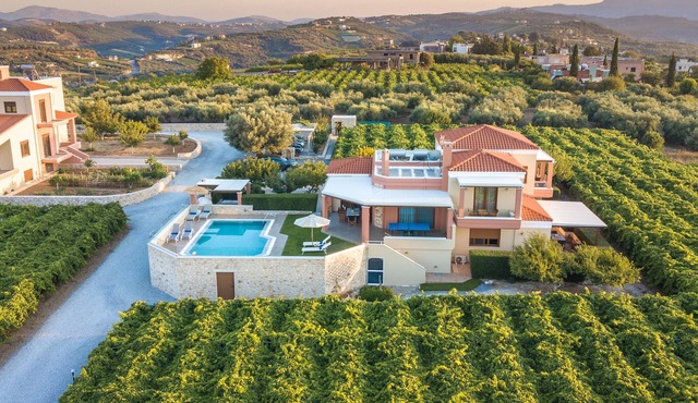 Cretan Vineyard Hill Villa 2 | Private pool, panoramic view, beautiful vineyard
