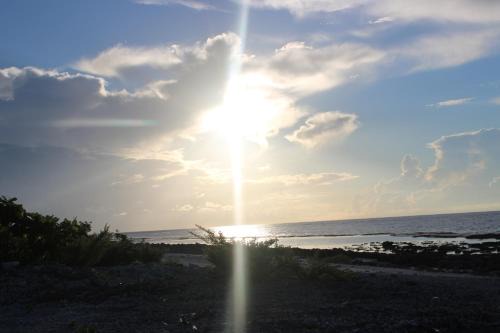 Faatiarau