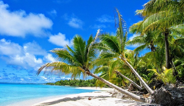 FAKARAVA SUD - Sea Renity Bungalow 2
