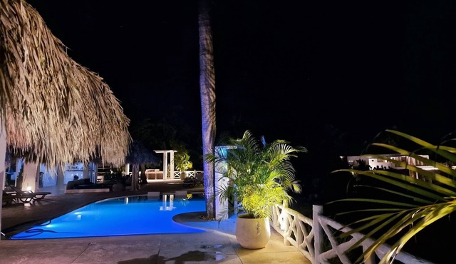 Gorgeous 7-bedroom villa with AC in Las Terrenas