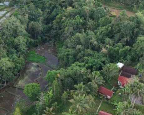 Greenday bungalows