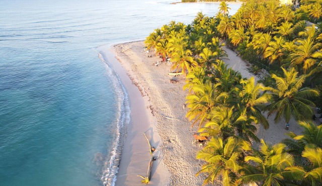 Harmonia - Sunbeha resort