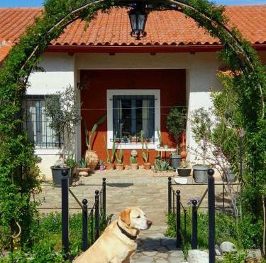 Helicon Muses Friendly Mountain B&B Guesthouse