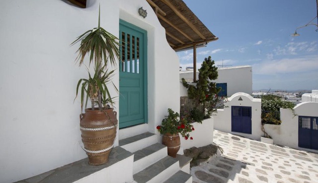 Hibiscus Rosa Mykonos