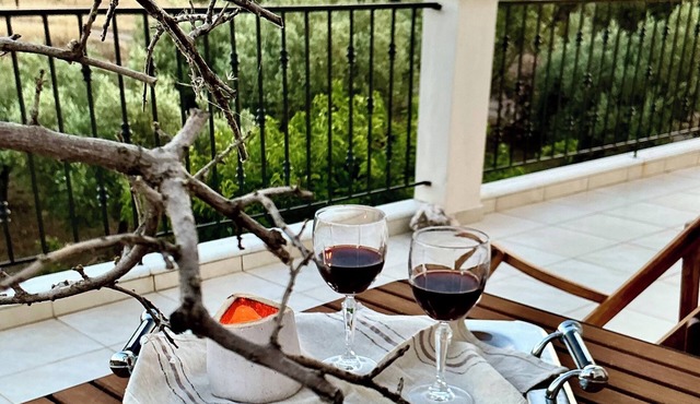 Horizon House With olive grove and vineyard