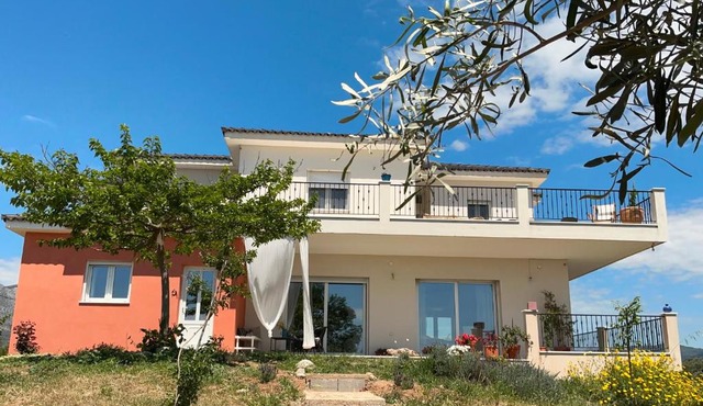 Horizon House, with Olive Grove and a small Vineyard