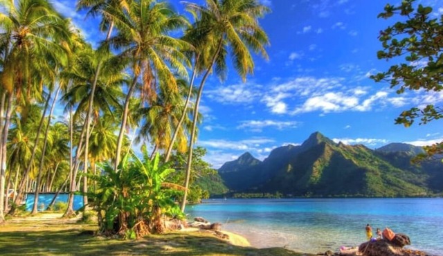 HOTU LODGE – Between Turquoise Lagoon and Lush Nature