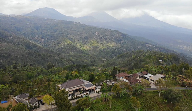 Junior Suite w/Garden View in Munduk