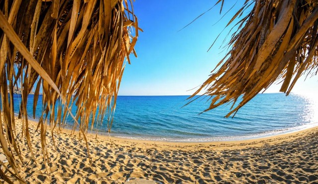 Kalais Beachfront Suites - Stunning Sea & Sunset Views, Free Beach Chairs, Bus Stop Outside, 12 Min from Naxos Town, 200 Mbps WiFi