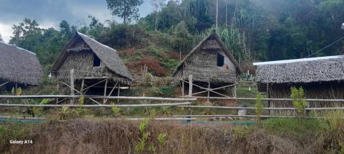 Khao Sok Moon Light Hill Camp
