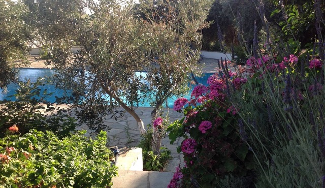 Large private pool, beautiful gardens, sleeps 12, short drive to the beach