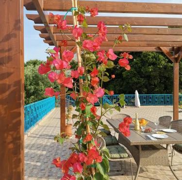 LEMON TREE GARDEN near Mirtos beach