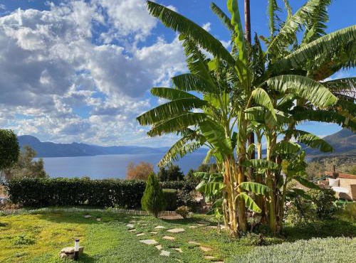 Levanda Home
