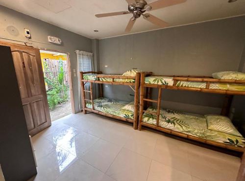 Lionfish Backpackers hostel