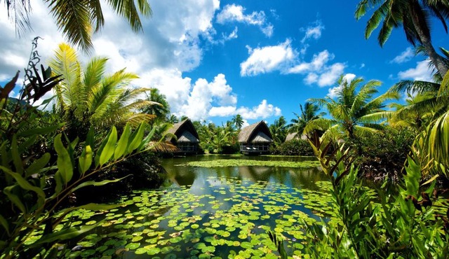 Maitai Lapita Village Huahine